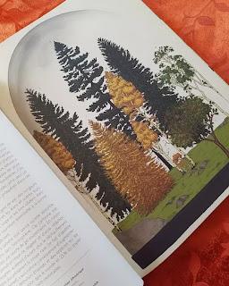 ARBORETUM 💚💚💚