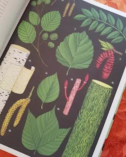 ARBORETUM 💚💚💚