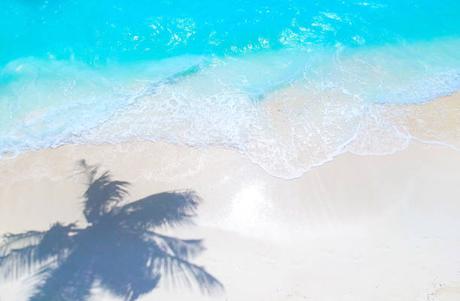 Comment réussir dans l’investissement en famille à l’île Maurice Comment réussir dans l’investissement en famille à l’île Maurice