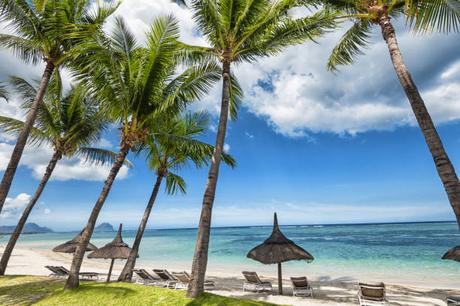 Comment réussir dans l’investissement en famille à l’île Maurice Comment réussir dans l’investissement en famille à l’île Maurice