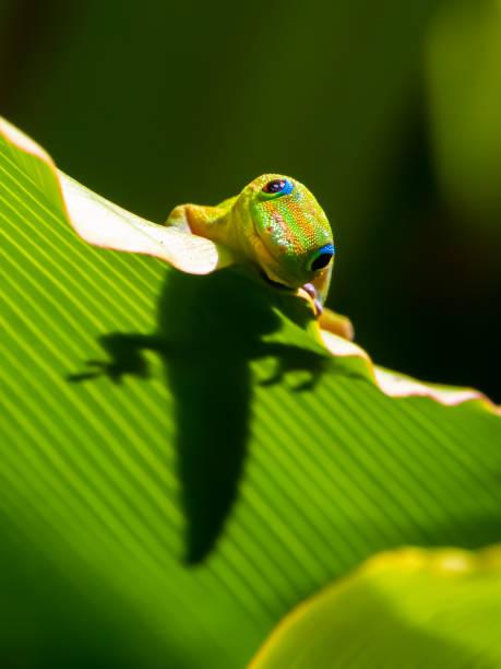 Comment l’île Maurice peut vous aider à atteindre un équilibre corps-esprit Comment l’île Maurice peut vous aider à atteindre un équilibre corps-esprit