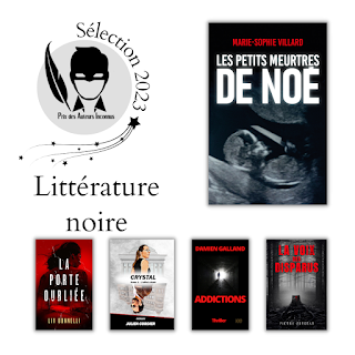 Les petits meurtres de Noé - Marie-Sophie Villard