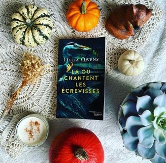 [Bilan mensuel] • Septembre • 2023/09