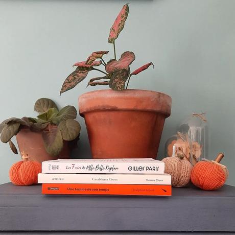 A quoi s’attendre en octobre sur le blog