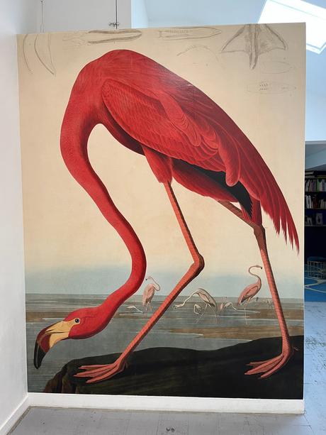 Il a suffi d'une plume pour colorer le ciel, exposition au Centre d'art contemporain La Traverse, à Alfortville (94) ooapin