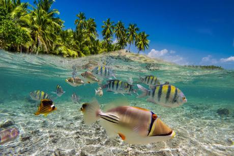 10 Raisons pour les Belges de Choisir l’Île Maurice comme Nouveau Domicile