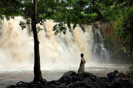 L’île Maurice, une destination de choix pour les entreprises du secteur de l’agriculture