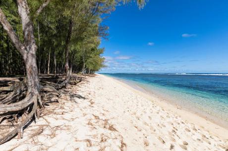 L’île Maurice, une destination de choix pour les entreprises du secteur de l’agriculture
