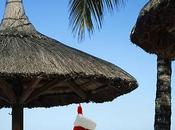 L’île Maurice, destination choix pour entreprises secteur l’agriculture