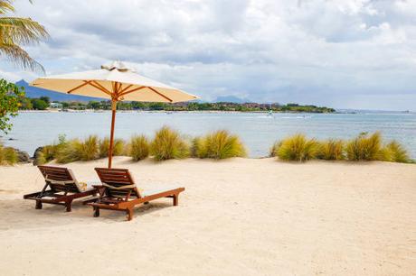 L’île Maurice, une destination de choix pour les entreprises du secteur de l’agriculture
