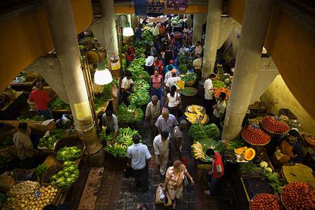 L’île Maurice, une destination de choix pour les entreprises du secteur de l’agriculture
