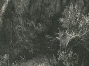 feuillages, l’art puissances végétal, Clélia (éd. Hazan), octobre 2023