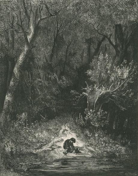 feuillages, l’art et les puissances du végétal, de Clélia Nau (éd. Hazan), octobre 2023 AKG262052