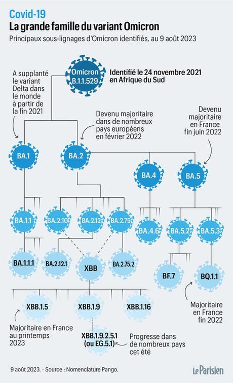 Covid-19 : la contre-offensive du variant Eris