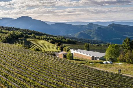 Dîners Œnologiques du Majestic Barcelona : Réinventer l’Art de l’Accord Mets et Vins