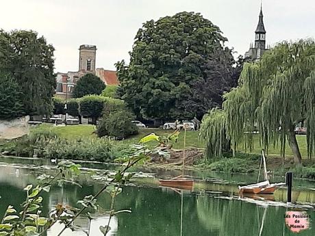 20230917_165958.jpg  TER