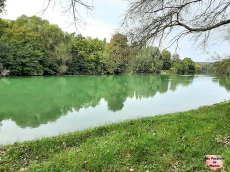 20230917_154855.jpg  TER