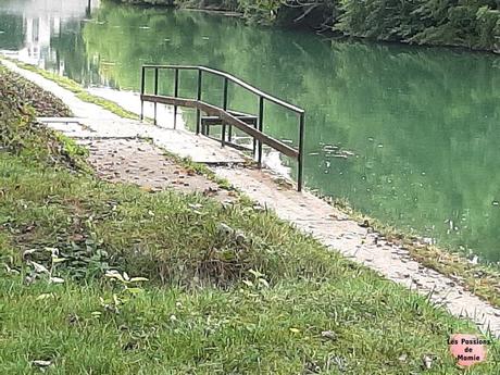 20230917_165504.jpg   TER