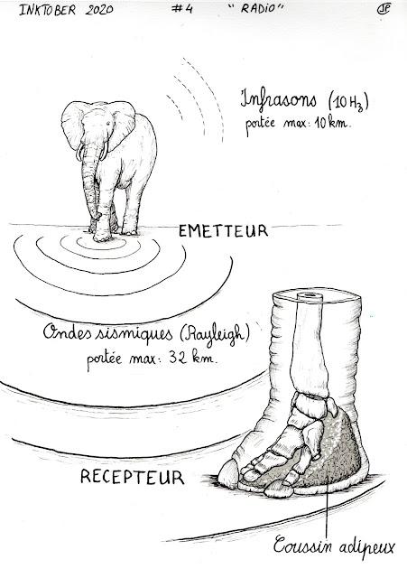 Bioctobre 2020 - jour 4 : Radio Bioctobre 2020 - jour 4 : Radio