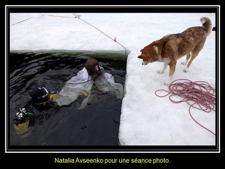 Divers - la Sirène des Bélugas