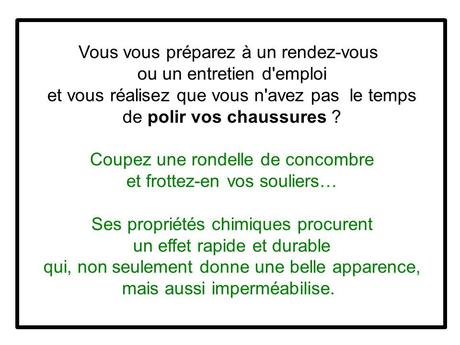 Divers - Le concombre 