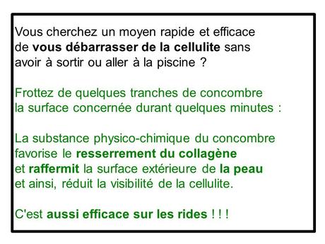 Divers - Le concombre 