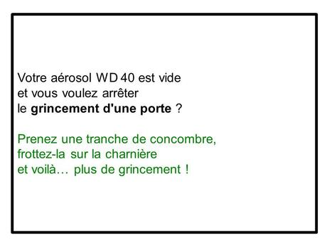 Divers - Le concombre 