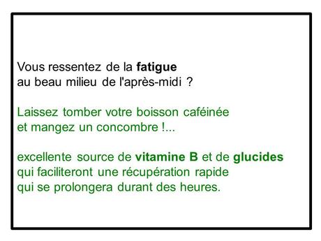 Divers - Le concombre 