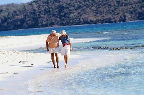 Emmener votre animal de compagnie à Maurice – Ce que les retraités doivent savoir