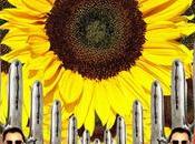 Ringo Starr affirme Beatles rouleraient terre rire” entendant chansons.