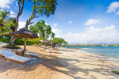 L’île Maurice pour les Amateurs de Plongée – Un Paradis Sous-Marin L’île Maurice pour les Amateurs de Plongée – Un Paradis Sous-Marin