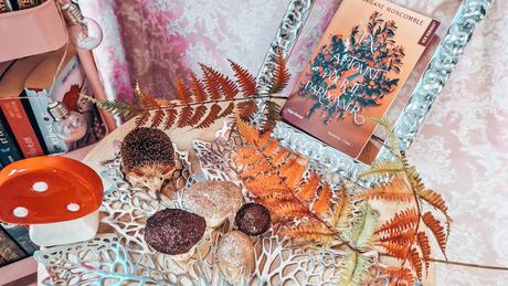 [Lecture] Un automne pour te pardonner: Seasons Tome 1 : une lecture addictive !