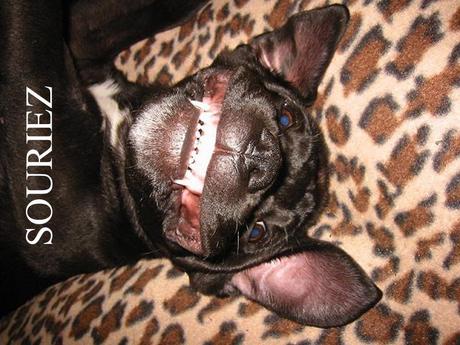 Divers - La tendresse