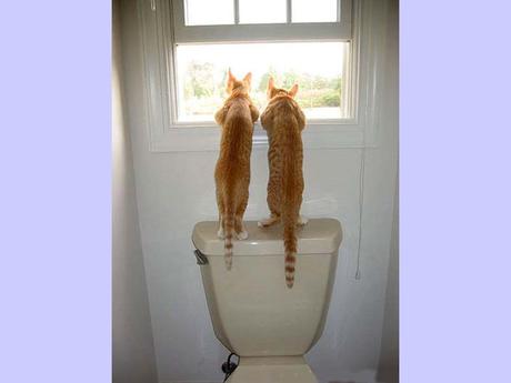 Divers - La tendresse