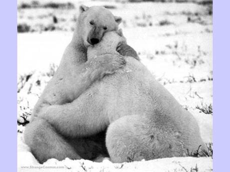 Divers - La tendresse