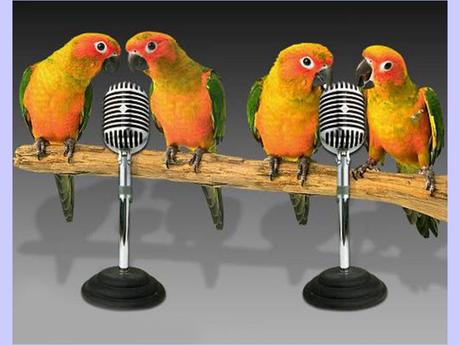 Divers - La tendresse