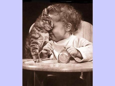 Divers - La tendresse