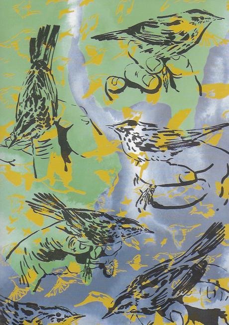 d'autres oiseaux dans la revue 303 LLocqueteau