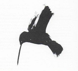 d'autres oiseaux dans la revue 303 colibriIAndreadis