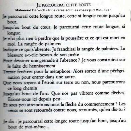 812_ LE DROIT INTERNATIONAL ET LA PALESTINE VAINCRONT, FORCÉMENT.