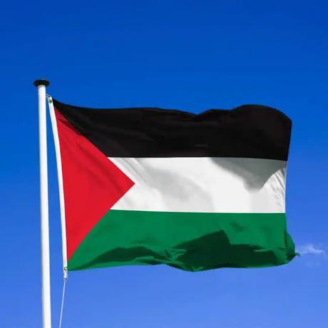 812_ LE DROIT INTERNATIONAL ET LA PALESTINE VAINCRONT, FORCÉMENT.