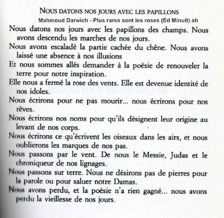 812_ LE DROIT INTERNATIONAL ET LA PALESTINE VAINCRONT, FORCÉMENT.