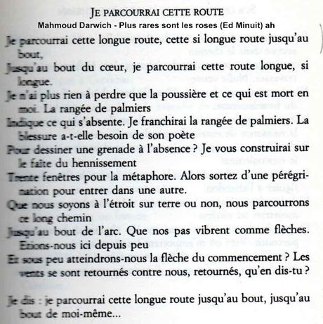 812_ LE DROIT INTERNATIONAL ET LA PALESTINE VAINCRONT, FORCÉMENT.