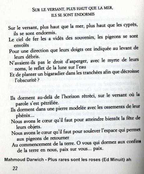 812_ LE DROIT INTERNATIONAL ET LA PALESTINE VAINCRONT, FORCÉMENT.