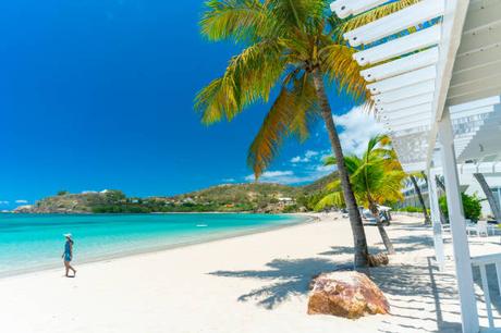 L’île Maurice, une destination idéale pour les entreprises du secteur des sciences de la vie