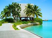 L’île Maurice environnement travail propice créativité pour Belges