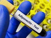 OBÉSITÉ bataille l’arrêt