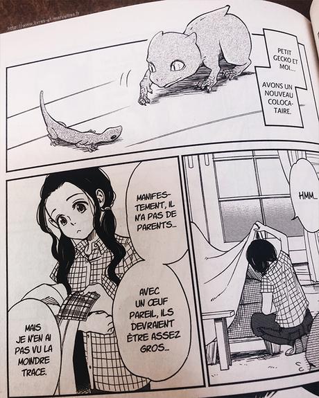 Manga Shojo : Un dragon dans ma cuisine t.1
