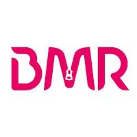 Troublemaker #1 de Laura Swan