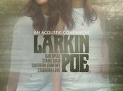 Acoustic Companion Larkin